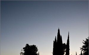 Tel Hai cemetery