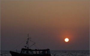 Sunset at Oostvaardersdijk