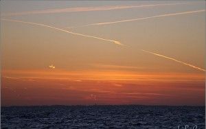 Sunset at Oostvaardersdijk