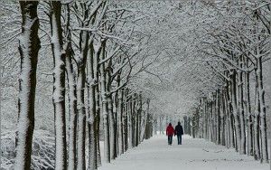 Snowy road