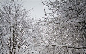 Snowy road