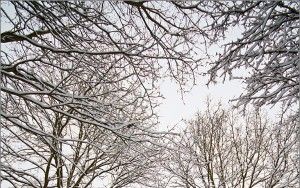 Wide angle snowy road