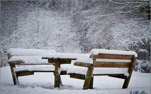 Snowy bench