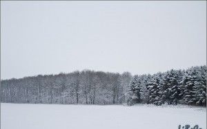Endless snow