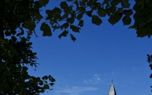 Abbey of Tongerlo