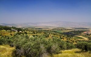 Mountains near Zippori