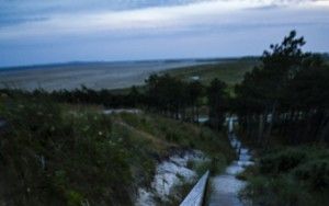 Looking down from a dune