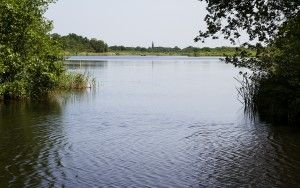 Ankeveensche Plassen