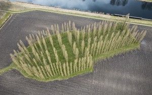 De Groene Kathedraal from the sky