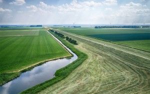 Knardijk near Zeewolde