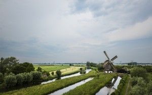 Windmill near Weesp