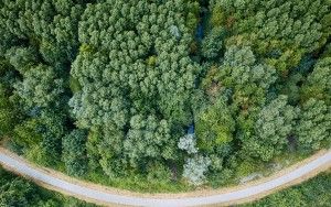 Winding road from my drone