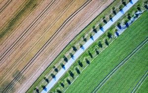 Patterns everywhere from my drone