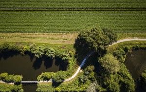 Winding bicycle path from my drone