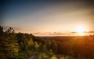 Schoorlse duinen from my drone