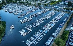 Full marina during sunset