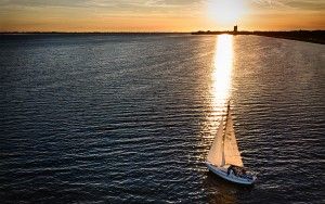 Flying low during sunset