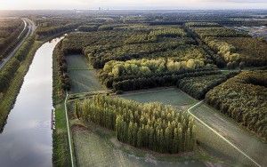 Drone sunset at De Groene Kathedraal