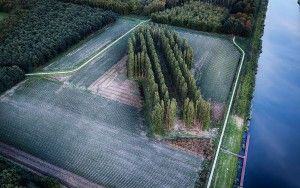 De Groene Kathedraal from my drone during sunset