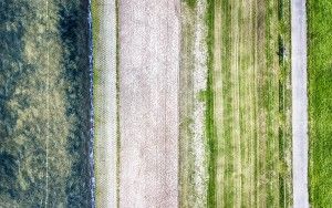 Abstract beach patterns from my drone