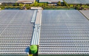 Glasshouses from the air