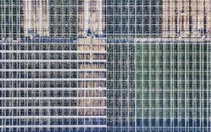 Glasshouse patterns from my drone