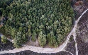 Sand paths from my drone