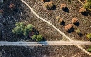 Crossroads on Bussumerheide