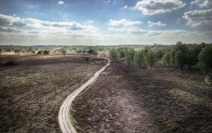 Empty road through Bussumerheide