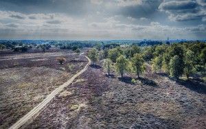 Bussumerheide from my drone