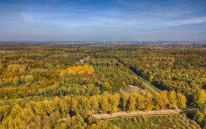 Autumn colours from my drone