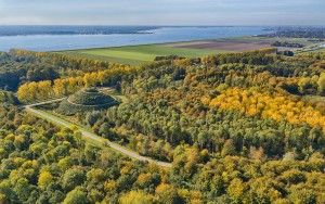 Autumn colours in the trees, as seen from my drone