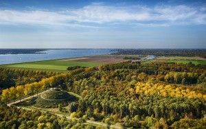 Groups of yellow trees near Almere Boven