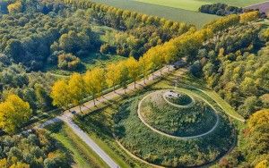 Autumn trees near Almere Boven, as seen from my drone