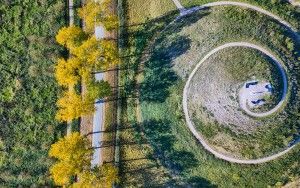 Autumn trees near Almere Boven