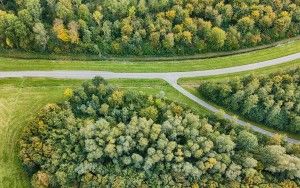 Tree surrounded junction from the air