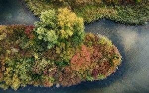 Top-down autumn island