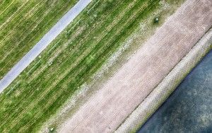 Top-down abstract from my drone