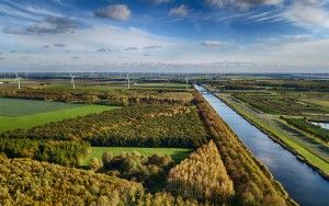 Autumn trees from my drone