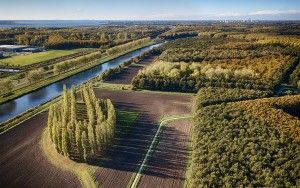 De Groene Kathedraal from my drone