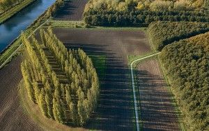 De Groene Kathedraal from my drone