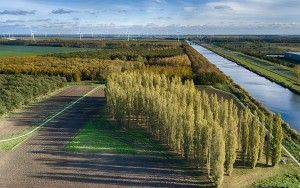 De Groene Kathedraal from my drone