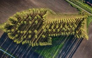 Top-down drone picture of De Groene Kathedraal