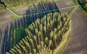 De Groene Kathedraal top-down