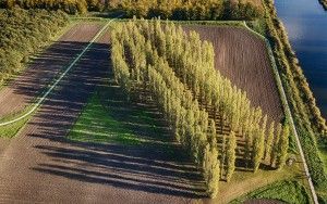 Droning over De Groene Kathedraal