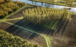 De Groene Kathedraal as seen from my drone