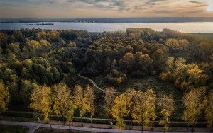 Colourful trees during sunset