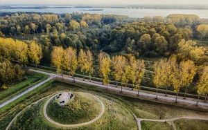 Autumn colours in the trees, as seen from my drone