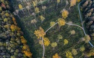 Autumn top-down from my drone