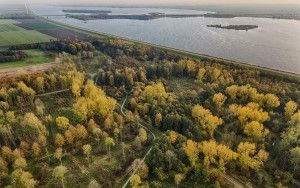 Autumn trees during sunset